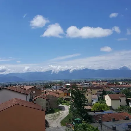 Elilu * Celano